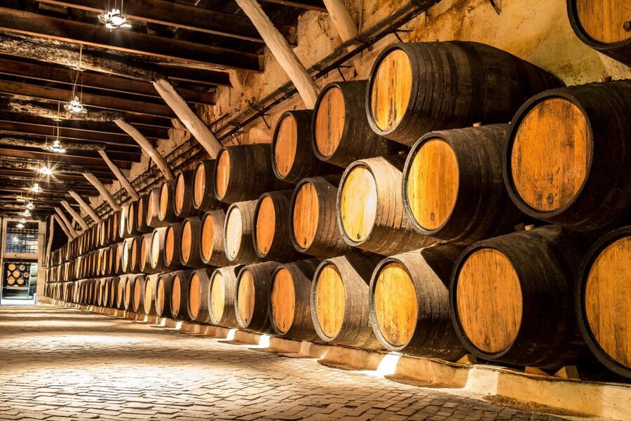 Porto: Tuk-Tuk Tour, Douro River Cruise, and Wine Tasting - When this tour fits (and when it doesn’t)