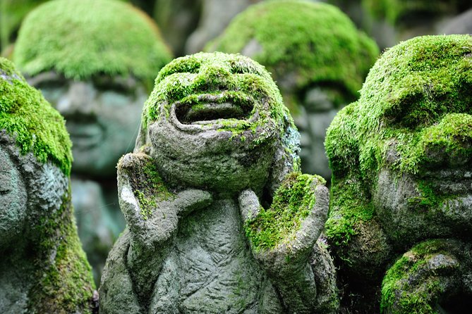 Private 3-hour Kyoto Arashiyama Rickshaw Tour - Why Arashiyama in late spring feels built for Shinryoku