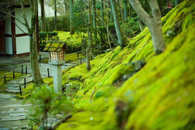 Private 3-hour Kyoto Arashiyama Rickshaw Tour - From Sagatenryūji area to bamboo-world speed