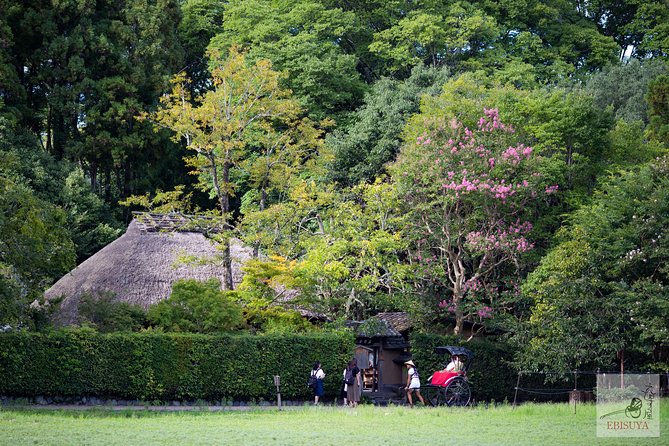 Private 3-hour Kyoto Arashiyama Rickshaw Tour - Jojakkoji Temple: stairs, shade, and a hilltop glimpse