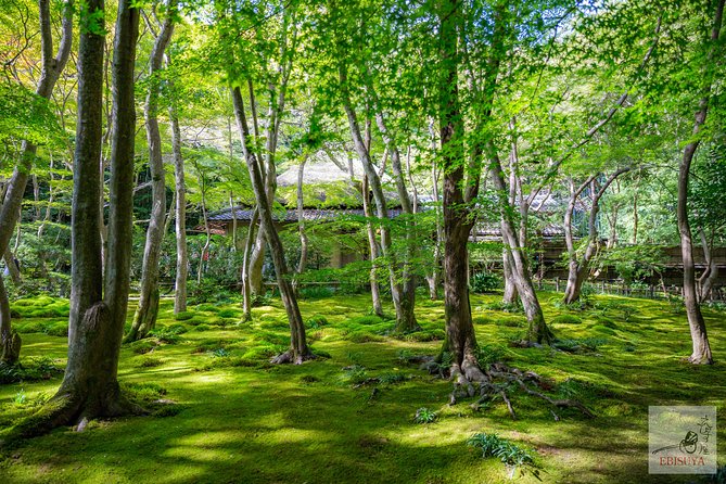 Private 3-hour Kyoto Arashiyama Rickshaw Tour - Seiryoji Temple: grandeur plus a story about a special statue