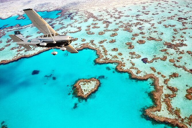Private Airlie Beach Tuk-Tuk Tours - Getting more out of the 2-hour tailored Airlie Beach option