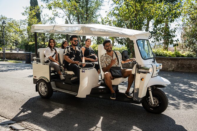 Private Electric Tuktuk Tour of Rome with Prosecco and Pickup - Terrazza del Pincio: the viewpoint that helps everything click