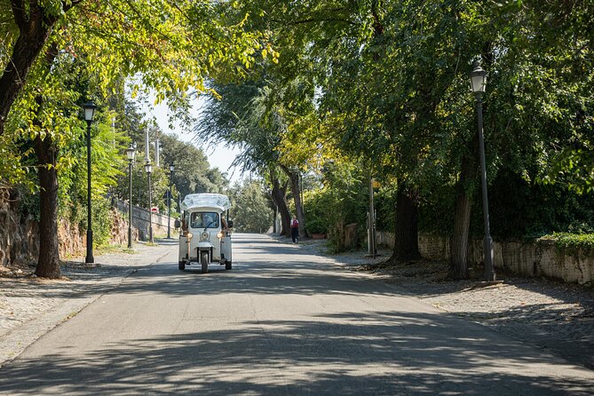 Private Electric Tuktuk Tour of Rome with Prosecco and Pickup - Price and value: what you’re really paying for at $180.27
