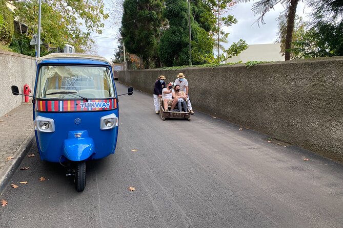 Private Express Tuk Tuk Tour Funchal Old Town & Toboggans - When rain cancels the sled: what you should expect instead