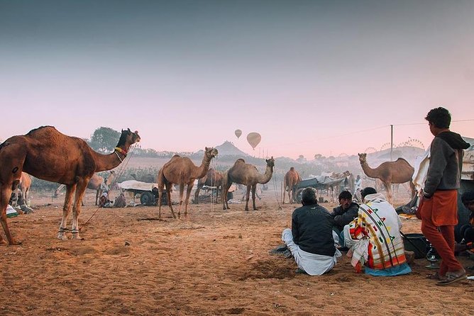 Private Full Day Jaipur Sightseeing Tour By Tuk-Tuk (Rickshaw) - Price and value: what $17.97 really means