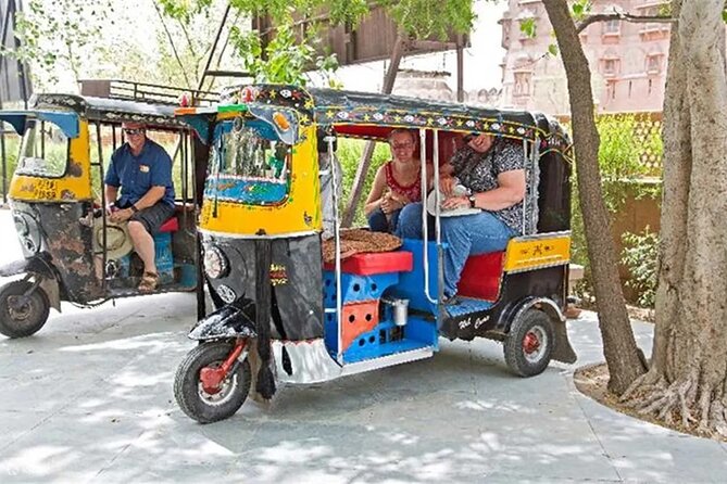 Private Full-Day Jaipur Tuk-Tuk Tour with the Monkey Temple - Why a tuk-tuk day tour makes sense in Jaipur