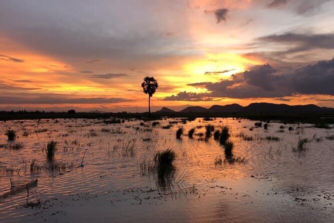 Private Full Day Tuk Tuk Tour in Battambang - Bamboo Train Battambang: rice fields from a moving platform