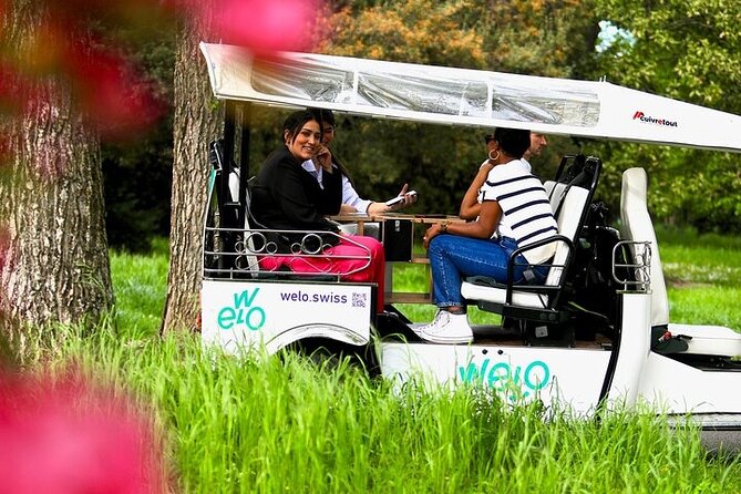 Private Guided Geneva 1 Hour TukTuk City Tour - Pl. de Neuve to the lake: your first taste of Geneva