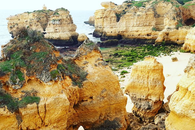 Private Guided Tuk-Tuk Tour with Pick-Up and Drop-Off of Albufeira - Albufeira Marina: waterfront photos and a quick historical anchor