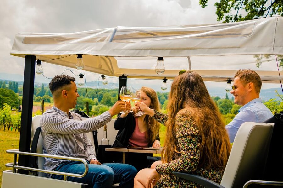 Private Highlights Top Places Tour Electric TukTuk 1h15 - Why an electric tuktuk works so well for Geneva highlights