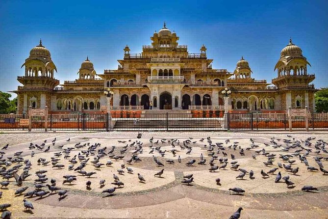 Private Jaipur Sightseeing Tour by Tuk-Tuk - Drivers with names, not just cars: the real difference-maker