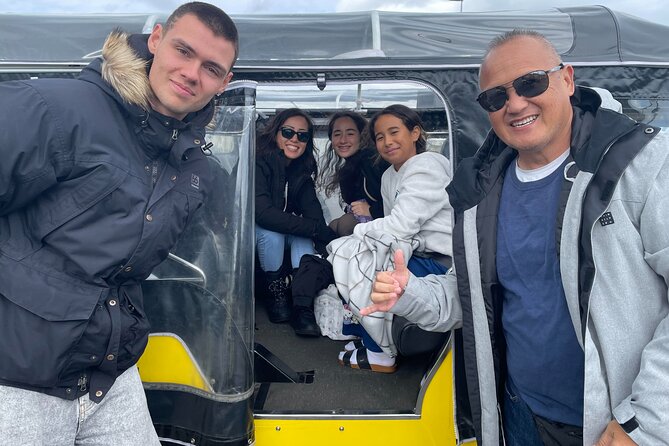 Private Reykjavík Tuk Tuk – City Highlights Tour - Value for families and small groups