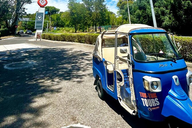 Private Tour DE Tuk Tuk Chiado and Bairro Alto in Lisbon - Stop 4: Miradouro São Pedro de Alcântara for Big Lisbon Views
