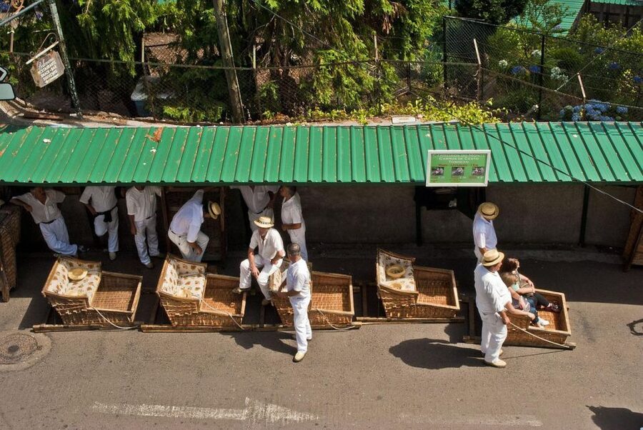 Private tour:Tuk Tuk Ride to Monte Funchal Toboggans - Logistics that matter: Cruise ships, weight limits, weather, and small kids