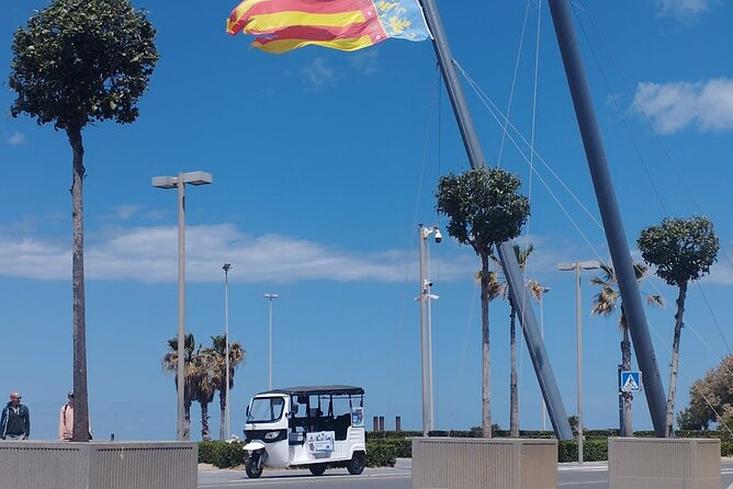 Private Tour with Tuktuk in Valencia - Key Highlights Worth Getting Excited About