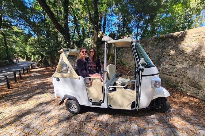 Private Tuk Tuk Tour around Magical Sintra and Coastline - Stop 2: Sintra National Palace Viewpoint for Quick Photos and Context