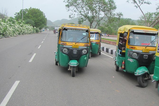 Private Tuk-Tuk Tour of Jaipur with Guide - Amer and Panna Meena ka Kund: the big finale that rewards patience