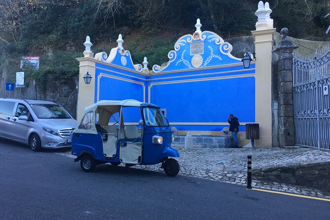 Private Tuk Tuk Tour of Sintra and Beaches in 2.5h - Stop 3: Pena Park and National Palace—where the panorama does the talking