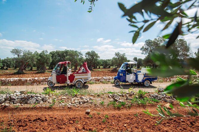 Private Tuk Tuk Tour of the Millenary Olive Groves in Ostuni - Key moments that make this tour worth it
