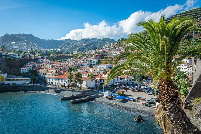 Private Tuk Tuk Tour on Câmara de Lobos, Fishing Village - Why a private tuk-tuk makes sense on Madeira’s south coast