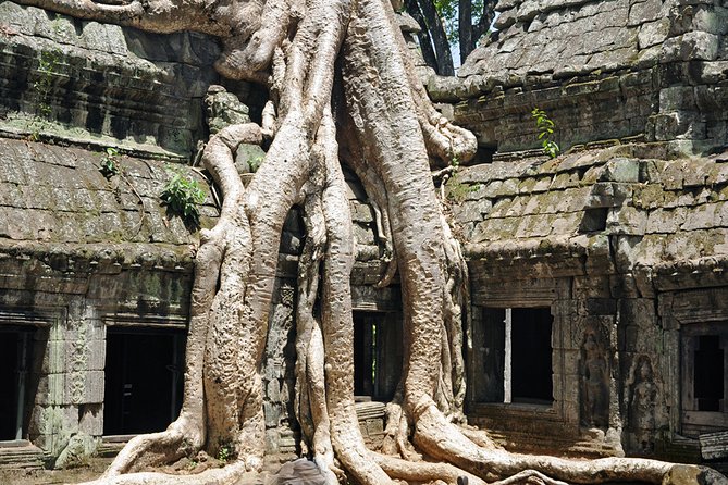 Private Tuk Tuk Tour to Angkor Wat and Small Circle with Two Extras - Banteay Kdei, Ta Prohm, Ta Nei, and Ta Keo: jungle, labyrinths, steep effort