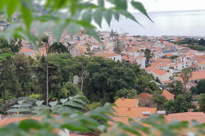 Private Tuk Tuk Tour to Old Town + Monte in Funchal - Price and what you’re really paying for (including the toboggan add-on)