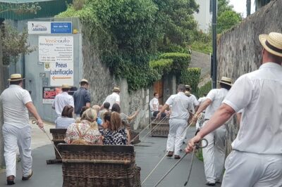 Private Tuk Tuk Tour to Old Town + Monte in Funchal - Pickup, meeting point, and timing that affects your toboggan queue
