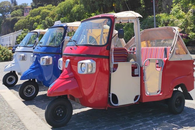 Private Tuk Tuk Tour to Old Town + Monte in Funchal - Monte waiting time and what you can do around the gardens
