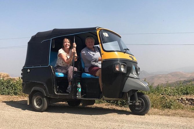 Private Udaipur Sightseeing Tour by Tuk-Tuk or Car with Driver - Sahelion Ki Bari and Ahar Cenotaphs: gardens and white marble memorials