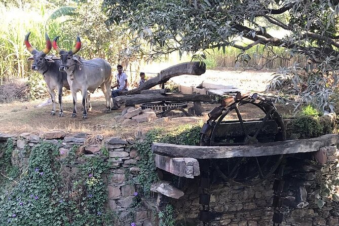 Private Udaipur Village Tour by Tuk-Tuk or by Car - Practical tips so the day stays smooth