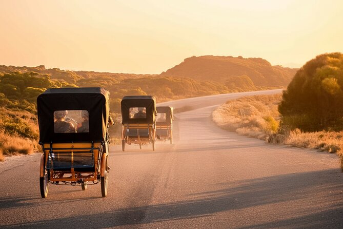Rottnest Island 90-minute E-Rickshaw Adventure with Tour Guide - Little Salmon Bay: A Sheltered Beach Moment