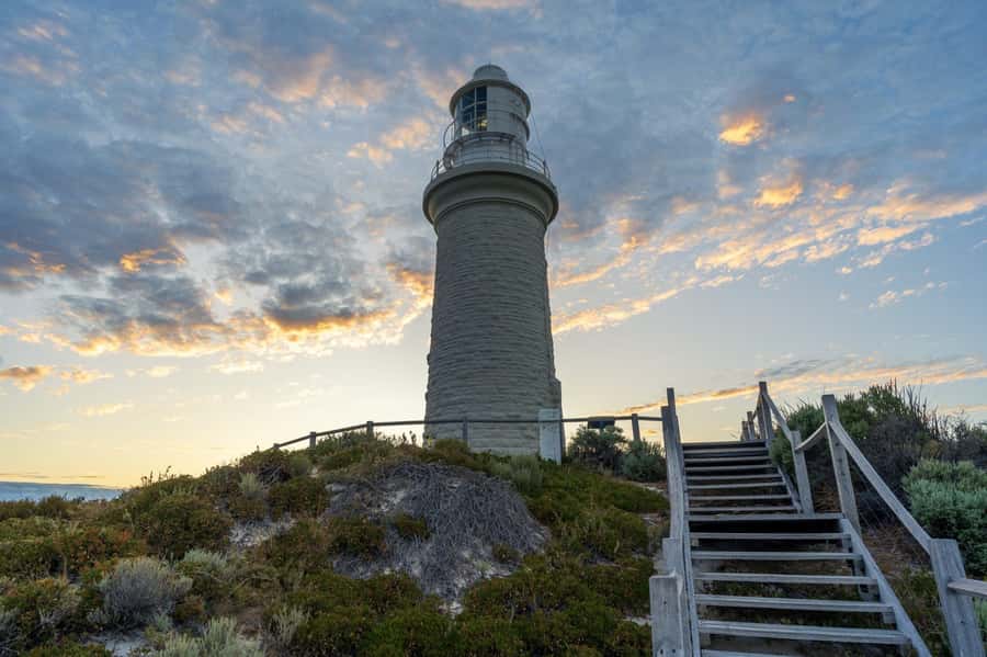 Rottnest Island - E-Rickshaw Tour with private guide - Key things I’d watch for on this Rottnest rickshaw tour