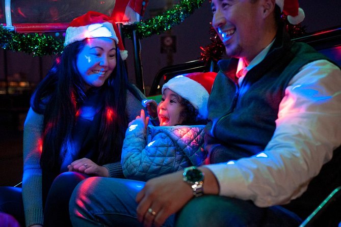 San Francisco Holiday Season Private Tour - Lucky Tuk Tuk - Chinatown by night: Dragon’s Gate and the oldest Chinatown feel