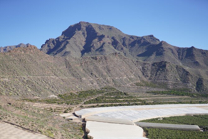 Secret Volcano Tour by Tuk Tuk in Costa Adeje - Price and value: why $29-ish can work (and when it won’t)