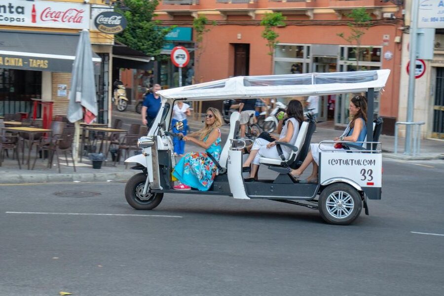 Seville: Private City Tour by Eco Tuk Tuk - River views first: Puente de Isabel II, Triana, and the San Telmo area