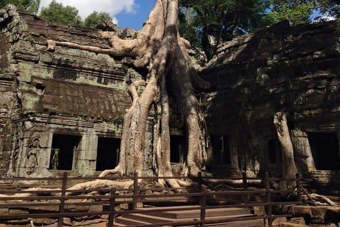 Siem Reap Morning Market & Food Tour by Tuk Tuk - Stop 1: Wat Po Lang Ka and Bai Sach Morn with tea