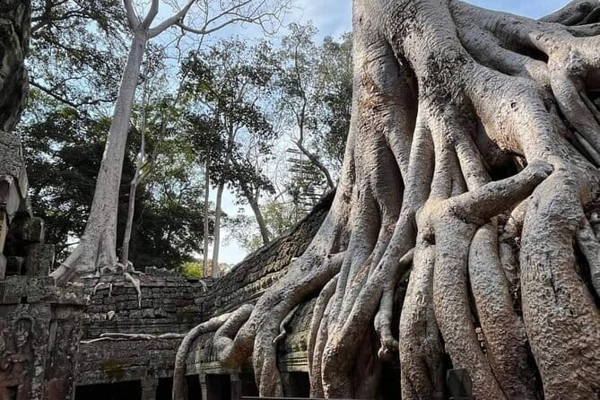 Siem Reap Temple Tuktuk Tour: Explore Angkor Wat and beyond. - Stop 2: Bayon’s smile towers in the heart of Angkor Thom
