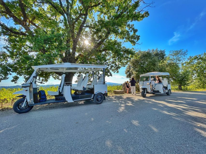 Siena: Tuk Tuk Tour with Wine Tasting - Why an electric tuk-tuk is a smart way to see Siena and the hills