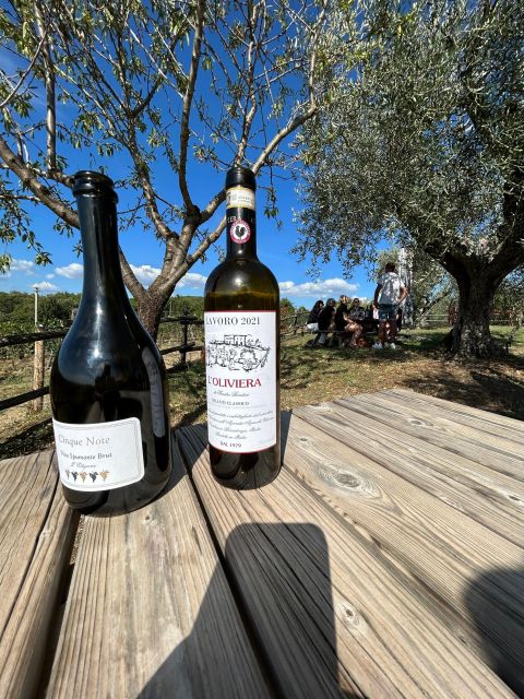 Siena: Tuk Tuk Tour with Wine Tasting - Meet at Basilica San Domenico: starting point and first impressions