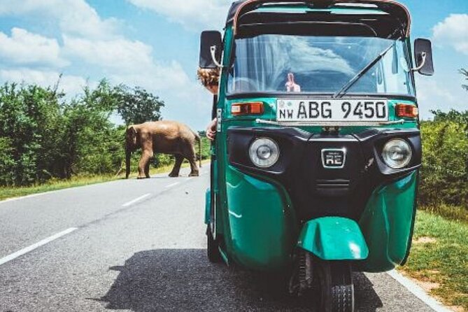 Sigiriya and Dambulla Private Day Tour by Tuk-Tuk or Car - Hotel pickup, start time, and how the day stays manageable