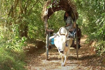 Sigiriya and Dambulla Private Day Tour by Tuk-Tuk or Car - Sigiriya Rock: fortress climbs, big views, and a guide that helps you see more