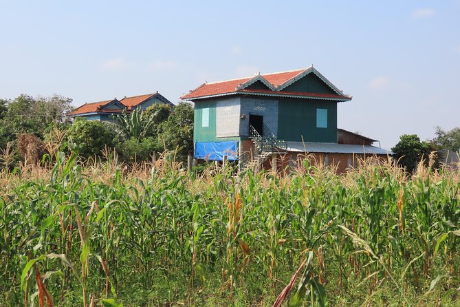 Silk Island & countryside of Phnom Penh by Tuk Tuk - Why Silk Island Feels Like a Reset From Phnom Penh