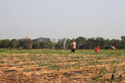 Silk Island & countryside of Phnom Penh by Tuk Tuk - Tuk Tuk Pickup and the Mekong Ferry Start