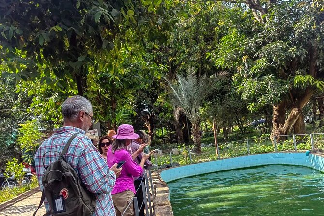 Silk Island Tuk Tuk Tour - Mekong Silk Island and the silk-making story you’ll remember