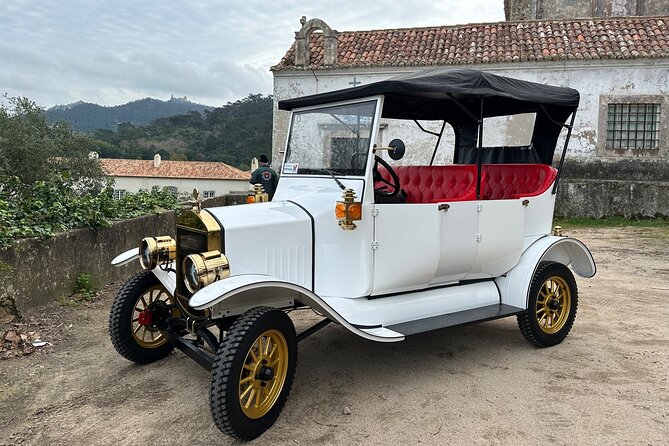 Sintra Tour by Electric Tuk Tuk - Vale dos Lagos and Quinta da Regaleira: nature contrast and magical styling