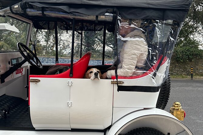 Sintra Tour by Electric Tuk Tuk - Colares coast stops: Azenhas do Mar, beaches, and Cabo da Roca