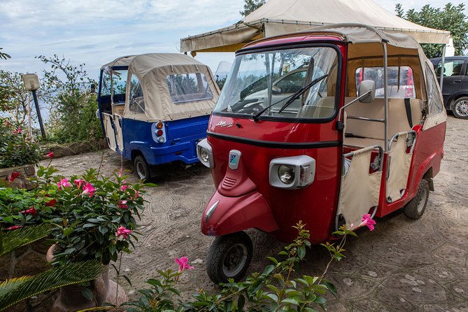 Sorrento Farm by Tuk Tuk: Cheese, Limoncello & Hands-On Pizza - What to bring, what to eat, and how to plan the rest of your day