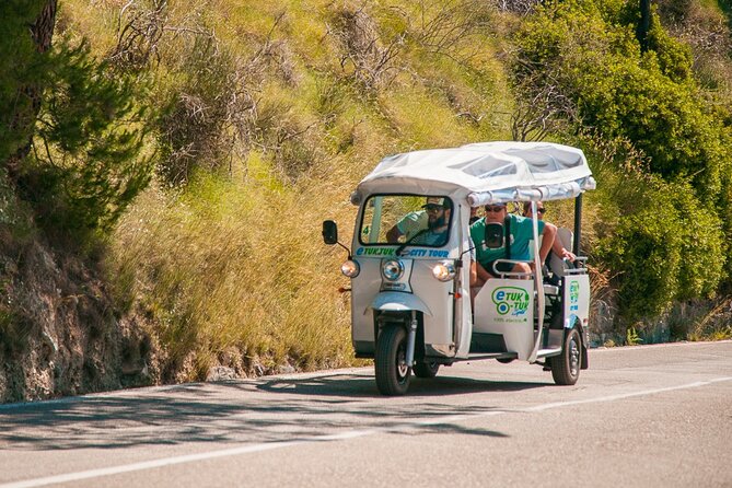 Split Tour by Electric Tuk-Tuk: Top City Highlights - Meštrović Gallery: Sculpture and Sea Views in One Stop