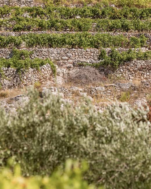 Stari Grad: Private Tuk-Tuk tour with Wine tasting - Inside the traditional konoba: wine tasting with prosciutto, cheese, and olives
